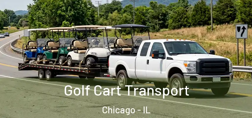  Golf Cart Transport Chicago - IL